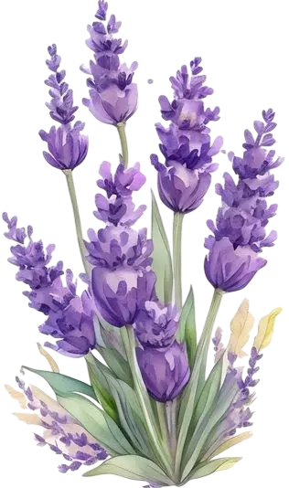 Home img60 photoroom